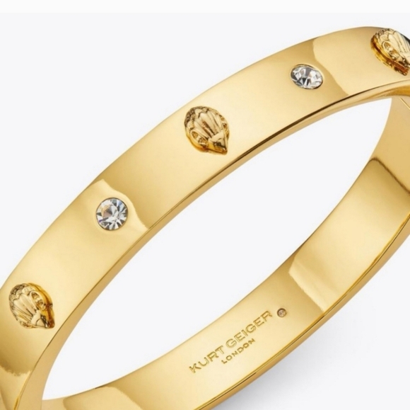 Kurt Geiger Eagle gem hinged Bangle - Picture 1 of 6
